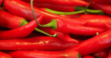 Izdržite nekoliko minuta: Ljuta paprika je lijek za mnoge bolesti!