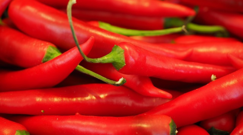Izdržite nekoliko minuta: Ljuta paprika je lijek za mnoge bolesti!